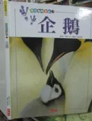 【小熊家族 】 我的動物寶貝 《 企鵝  》小天下   9 成新