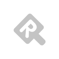 [BWS拍賣] BMW 水箱罩裝飾條 新3系 單邊中網 8條桿(長軸版)  2013~2017年款 卡扣式免拆安裝
