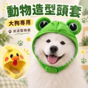 (店+)動物造型頭套 大狗專用 青蛙／小雞 狗狗帽子 寵物變裝