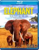 藍光BD-13957大象女王 The Elephant Queen (2018) 