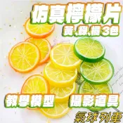📣台中現貨📣仿真假檸檬片 水果切片  仿真水果 假水果片