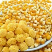 蘑菇型玉米粒 爆米花 蘑菇球 300g / 600g 美國玉米粒 非基因改造 DIY 玉米 球型爆米花乾玉米 玉米花粒