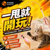 鋼絲羽毛逗貓棒 可替換頭響鈴逗貓桿 貓咪解悶玩具 貓玩具 寵物玩具 貓咪玩具 逗貓神器 貓抓板玩具 貓薄荷玩具