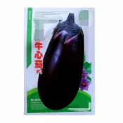 【蔬菜種子S220】牛心茄~30粒種子。皮軟， 果肉白色細嫩。單果平均重量約700公克，採收時間長。