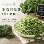 羽衣甘藍芽菜種子--捲葉羽衣甘藍｜適合芽菜苗菜嫩菜栽培｜水培水耕種子｜綠拿鐵蔬菜種子 中包裝【四季綠園】