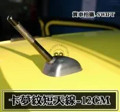 阿勇裝飾天線FIESTA ECOSPORT METROSTAR MAV SANTA FE 碳纖維CARBON卡夢短天線