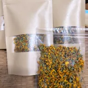 台東太麻里金針山 芳香萬壽菊