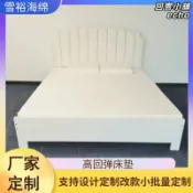 回響小舖 【高回彈支撐】乳膠床墊 海綿床墊 坐墊 沙發墊 高密度泡棉 加厚墊 透氣防蟎 彈性佳 不易塌陷 臺灣直送 居家臥室客廳適用