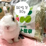 魏啥麻-日本WOOLY海外精選 澳洲燕麥草 分裝 (甜燕麥)2025年度草(兔 天竺鼠 龍貓牧草)