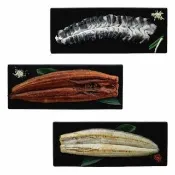 【King-eel 鰻魚大王】鰻魚三合一禮盒(蒲燒+白燒+薄切鮮鰻片各一包)