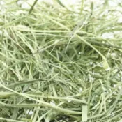 【小寵牧草嚴選館】混合小寵牧草 過篩 甜小麦 提摩西一割 二割 百幕達 苜蓿 燕麥草 兔子龍貓豚鼠荷蘭豬磨牙飼料