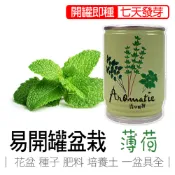 【買5送1】薄荷 盆栽 香草盆栽iPlant 易開罐頭盆栽 花卉農場 懶人盆栽 種子 盆栽 台灣製