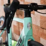 (店+)【Francesca Bianchi】Bianchi Sprint ICR 爬坡型公路車 105機械變速 105電變 鋁框