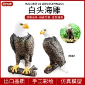 【台灣免運✨】仿真白頭海雕模型 實心猛禽老鷹模型擺件 精細羽毛紋理手辦 戶外陽台驅鳥擺件/庭院造景/兒童科教玩具