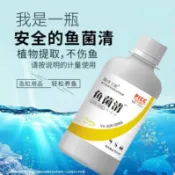 觀賞魚缸用觀賞魚菌清潔劑,模具水族魚菌清水黴菌水黴白毛菌細菌植物提取4.2