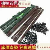 優選熱賣 【限時特價】爬藤架蝴蝶蘭支架園藝植物夾子花卉固定藤蔓爬藤蘭花金錢樹天堂鳥支撐杆