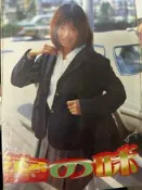 《 小本寫真密之味 》【小熊家族】