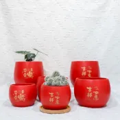(店+)新年花盆/ 陶瓷盆/款式多種/ 盆器佈置/ 新年佈置/ 多肉小品/ 居家新年/ 公司佈置 / 水泥盆 水泥材質
