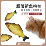 【寵悅】現貨 隔日到貨 貓薄荷魚抱枕 貓草 逗貓玩具 互動玩具 自嗨蹦跳 幼貓 養貓必備 貓用品