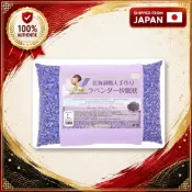 枕頭 蕎麥枕 蕎麥殼枕頭 日本製 薰衣草枕頭 井上職人 北海道 純棉枕套 舒眠透氣 日本直送 S/M/L