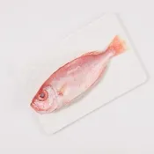 【華得水產】台灣東港紅目鰱魚12尾組(200-220g/尾)