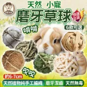 小寵草球【布萊恩👨🏻隔日到貨】兔子玩具 提摩西草球 草球 磨牙草球 牧草球 編織草球 天竺鼠玩具 啃咬玩具 磨牙玩具