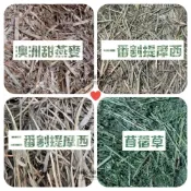 (店+)跳跳精選優質牧草 提摩西草 提摩西牧草 甜燕麥 苜蓿草 小寵牧草 天竺鼠牧草 兔牧草 鼠兔牧草 兔用牧草 小動物牧草