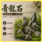 【欣盛園藝資材行】青龍石 1kg 天然原石 黑石 造景石 假山水池 黑奇石 英石 水族