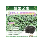 (店+)【蔬菜之家】大包裝K17-1.紫羅勒種子  種子 羅勒種子 香草種子 可作為苗菜採收播種後約16-25天採