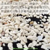 滿300出貨魚缸造景底砂菲律賓沙貝殼沙珊瑚砂白沙子三湖慈鯛寄居蟹天然海沙      露天市