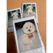 instax mini 底片保護套 適用 miniEVO mini12 mini13 mini41 系列