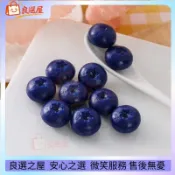 ✨仿真模型 10 件裝人造藍莓假水果模型迷你藍莓適用於家庭廚房 DIY 工藝品蛋糕甜點裝飾攝影道具 模型 仿真 食物