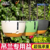 潮改百貨館大號吊籃花盆掛式懸掛自吸水吊蘭花盆樹脂加厚綠蘿多肉常春藤吊盆