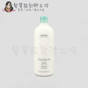 髮質設計師立坽的小窩 AVEDA 純香洗髮菁1000ml HS01 HH01｜立坽『洗髮精』肯夢公司貨｜領券再折｜換季保養 ⚡頭皮保養 水潤保濕 蓬鬆秀髮 沙龍髮品