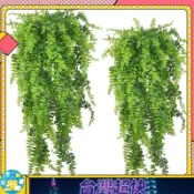  ⚡ 臺南出貨 ⚡⚡在臺出貨⚡【熱銷】仿真假植物 蕨類人造植物 仿真假植物 波斯草藤條 仿真吊掛 小盆栽室內植物假蕨類 