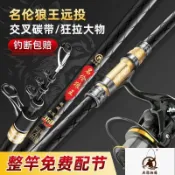 【超硬遠投竿】海釣竿 遠投竿 魚竿 灘釣竿 巨物釣竿 拋竿 甩竿 海釣場釣竿 長節超硬 錨魚竿 釣竿 套裝