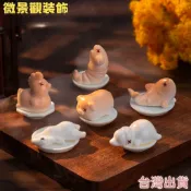 台灣出貨【森林物語】微景觀裝飾 創意光變烤鴨烤雞動物萌粒 娃娃屋DIY裝飾 迷你小擺件