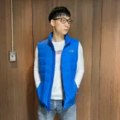 美國百分百【全新真品】The North Face 羽絨 背心 TNF 北臉 馬甲 550系列 保暖 男 藍色 E838