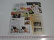 popu lady 大元 林盈臻/觀月亞里沙 雜誌內頁報導1張