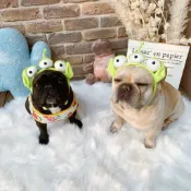 【現貨】超可愛狗狗變身頭套 抖音搞怪三眼怪ins超火寵物頭飾 法鬥  寵物拍照飾品道具變身裝  呆萌卡通狗狗頭套