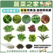 (店+)【蔬菜之家】秋冬可栽培.短期收成葉菜類種子系列 (各包裝數量詳見內文及圖片) 茼蒿 萵苣 高麗菜花 芥菜 蔬菜種子