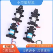 金牌五金工具 小型增壓泵 電動噴霧器水泵12V高壓洗車泵電機水泵智能大功率水泵[DD1213001]
