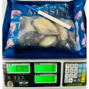 【丸星海產】中國半殼淡菜🐚半殼貽貝、孔雀蛤🔥一包600克約20顆🔥海中雞蛋👍貽貝 青口貝 貽貝肉 蒜香淡菜