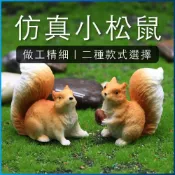 (店+)【Ray Ray 士林瑞瑞】造景裝飾 仿真松鼠 微景觀 小松鼠 仿真松鼠 園藝裝飾 園藝造景 辦公室小物 盆栽佈置 多肉 魚缸裝飾 桌上擺飾 小擺件