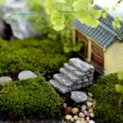 微景觀  台階  彎曲直式台階  石頭台階  樓梯  樓梯台階  台階微景觀  園藝微景觀  多肉微景觀  園藝擺飾 裝