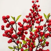 ⋒芳馨花園⋒仿真果實【狀元紅 紅果支】年節飾品 聖誕裝飾 新年花藝 園藝裝飾