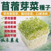 城禾農產🍃 苜蓿芽種子 36克約1.3萬粒 苜蓿芽種子 苜蓿種子 苜蓿芽菜種子 芽菜種子 苜蓿芽菜種子 木宿芽種子 種子