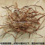 ✨【魚缸造景】杜鵑根枝條微景觀須根細枝迷妳魚缸南美缸樹枝沈木造景龍須根藤條-初晴優選