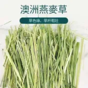 【萌寵鮮牧草】搭配餵養萌寵牧草 過篩 甜小麥 提摩西一割 苜蓿 燕麥草 百幕達 豐富兔子龍貓豚鼠荷蘭猪餐點