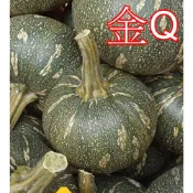 惜福瓜7斤$149，金Q南瓜、栗子南瓜-以「顆」計價，肉質不輸栗子南瓜，細膩而黏密，消水後表皮會變橘黃色